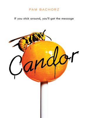 cover image of Candor